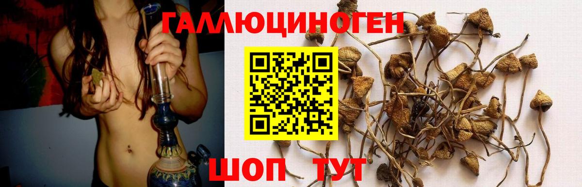 Верхняя Пышма  Галлюциногенные грибы ЛСД  Вход с VPN 